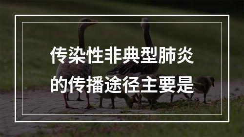 传染性非典型肺炎的传播途径主要是