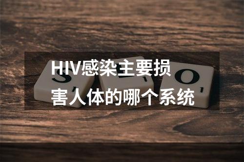 HIV感染主要损害人体的哪个系统