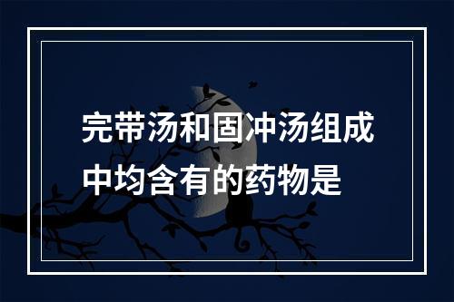 完带汤和固冲汤组成中均含有的药物是