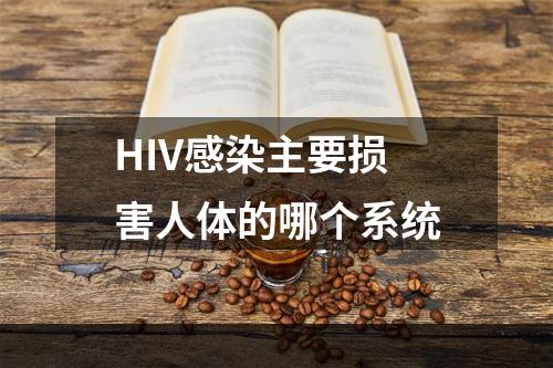 HIV感染主要损害人体的哪个系统