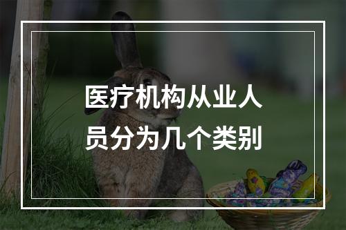 医疗机构从业人员分为几个类别