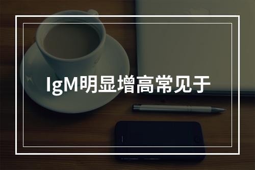 IgM明显增高常见于