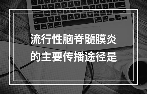 流行性脑脊髓膜炎的主要传播途径是