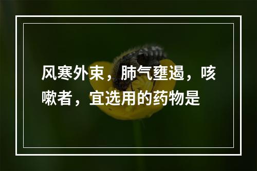 风寒外束，肺气壅遏，咳嗽者，宜选用的药物是