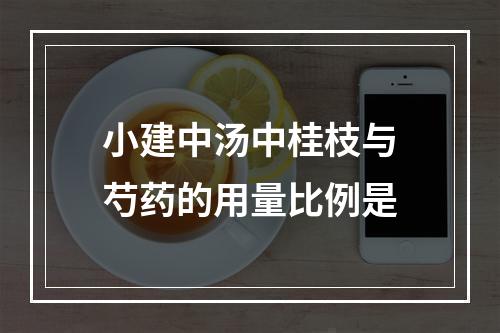 小建中汤中桂枝与芍药的用量比例是