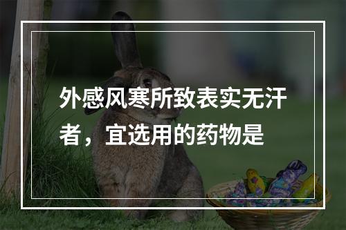 外感风寒所致表实无汗者，宜选用的药物是