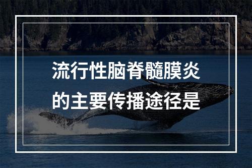 流行性脑脊髓膜炎的主要传播途径是