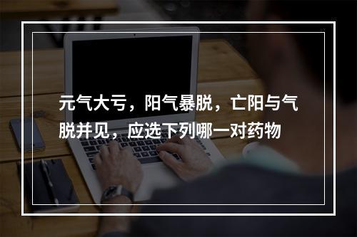 元气大亏，阳气暴脱，亡阳与气脱并见，应选下列哪一对药物