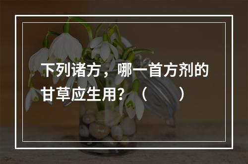 下列诸方，哪一首方剂的甘草应生用？（　　）