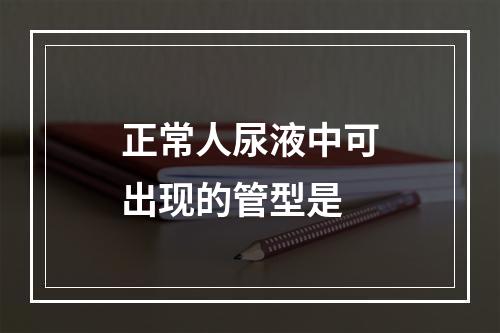 正常人尿液中可出现的管型是