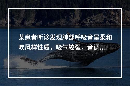 某患者听诊发现肺部呼吸音呈柔和吹风样性质，吸气较强，音调较