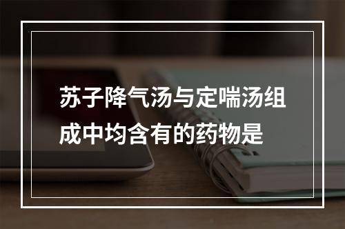 苏子降气汤与定喘汤组成中均含有的药物是