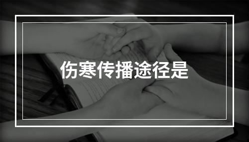 伤寒传播途径是