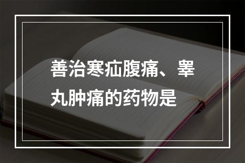 善治寒疝腹痛、睾丸肿痛的药物是