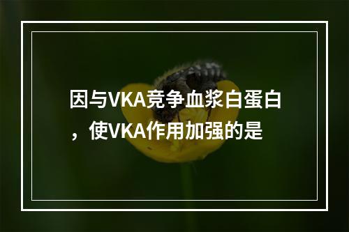 因与VKA竞争血浆白蛋白，使VKA作用加强的是