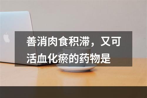 善消肉食积滞，又可活血化瘀的药物是