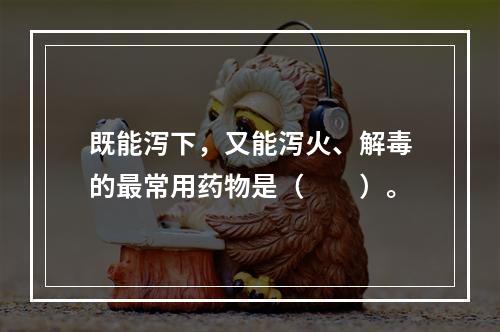 既能泻下，又能泻火、解毒的最常用药物是（　　）。