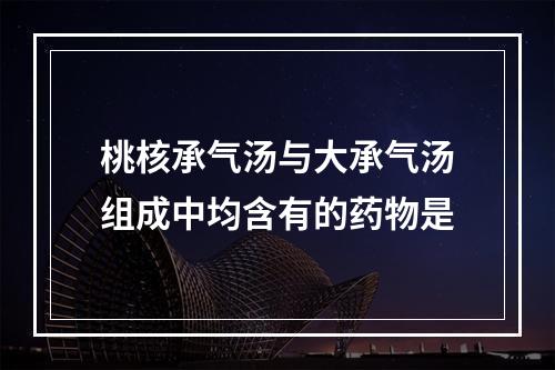 桃核承气汤与大承气汤组成中均含有的药物是