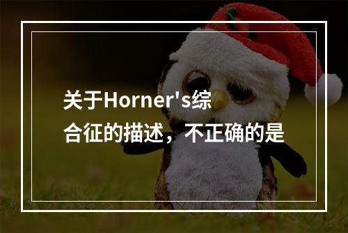 关于Horner's综合征的描述，不正确的是