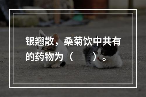 银翘散，桑菊饮中共有的药物为（　　）。