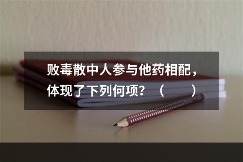 败毒散中人参与他药相配，体现了下列何项？（　　）