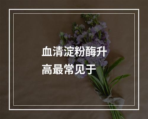 血清淀粉酶升高最常见于