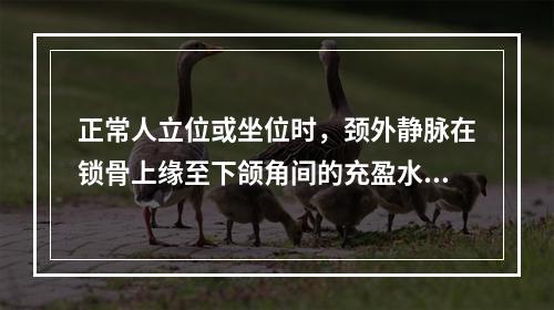 正常人立位或坐位时，颈外静脉在锁骨上缘至下颌角间的充盈水平是