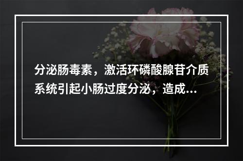 分泌肠毒素，激活环磷酸腺苷介质系统引起小肠过度分泌，造成剧烈