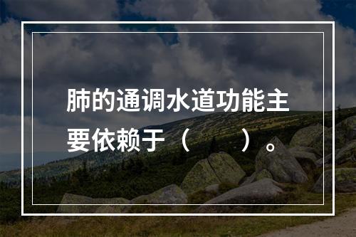 肺的通调水道功能主要依赖于（　　）。