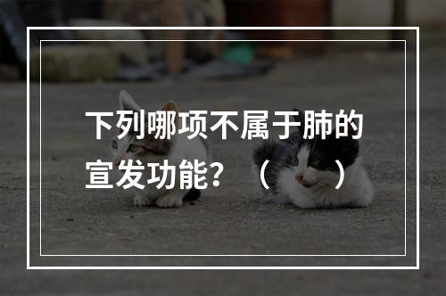 下列哪项不属于肺的宣发功能？（　　）