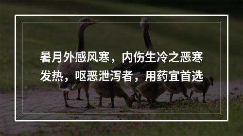 暑月外感风寒，内伤生冷之恶寒发热，呕恶泄泻者，用药宜首选