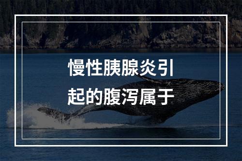 慢性胰腺炎引起的腹泻属于