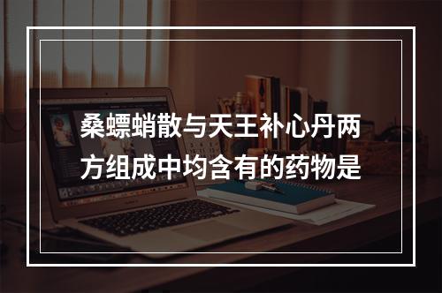 桑螵蛸散与天王补心丹两方组成中均含有的药物是