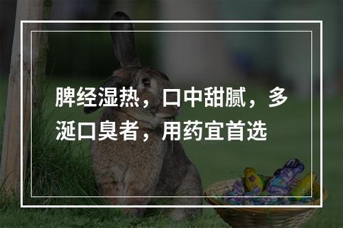 脾经湿热，口中甜腻，多涎口臭者，用药宜首选