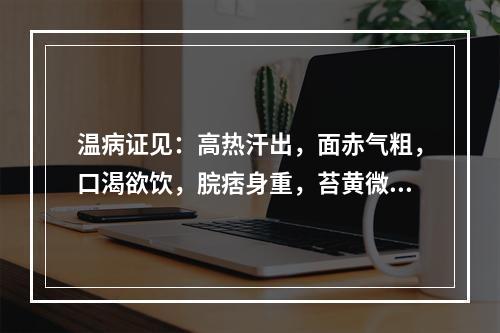 温病证见：高热汗出，面赤气粗，口渴欲饮，脘痞身重，苔黄微腻