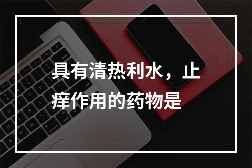 具有清热利水，止痒作用的药物是