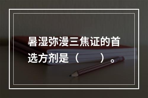 暑湿弥漫三焦证的首选方剂是（　　）。