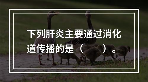 下列肝炎主要通过消化道传播的是（　　）。