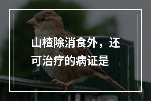 山楂除消食外，还可治疗的病证是