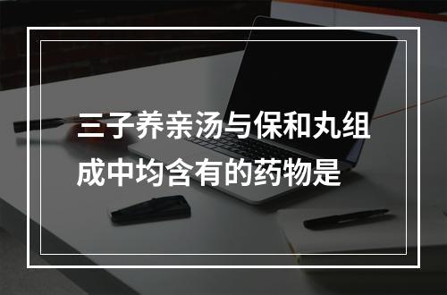 三子养亲汤与保和丸组成中均含有的药物是