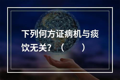 下列何方证病机与痰饮无关？（　　）