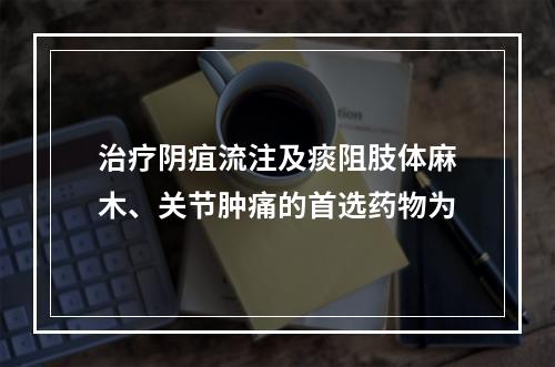 治疗阴疽流注及痰阻肢体麻木、关节肿痛的首选药物为