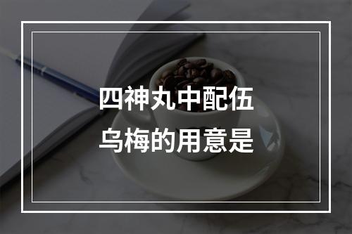 四神丸中配伍乌梅的用意是