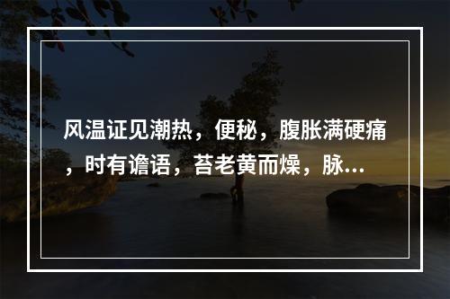 风温证见潮热，便秘，腹胀满硬痛，时有谵语，苔老黄而燥，脉沉有