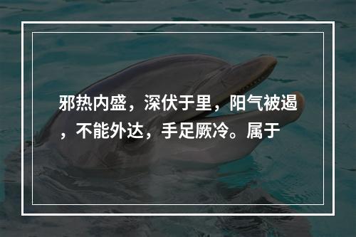 邪热内盛，深伏于里，阳气被遏，不能外达，手足厥冷。属于