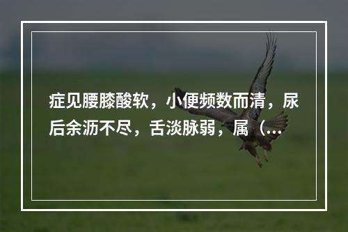 症见腰膝酸软，小便频数而清，尿后余沥不尽，舌淡脉弱，属（　