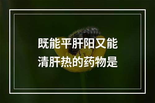 既能平肝阳又能清肝热的药物是