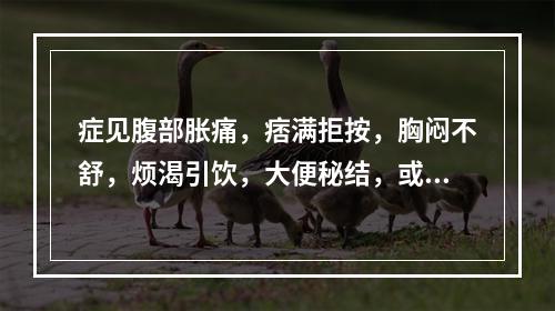 症见腹部胀痛，痞满拒按，胸闷不舒，烦渴引饮，大便秘结，或溏