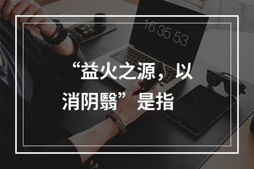 “益火之源，以消阴翳”是指