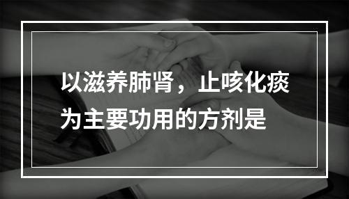 以滋养肺肾，止咳化痰为主要功用的方剂是